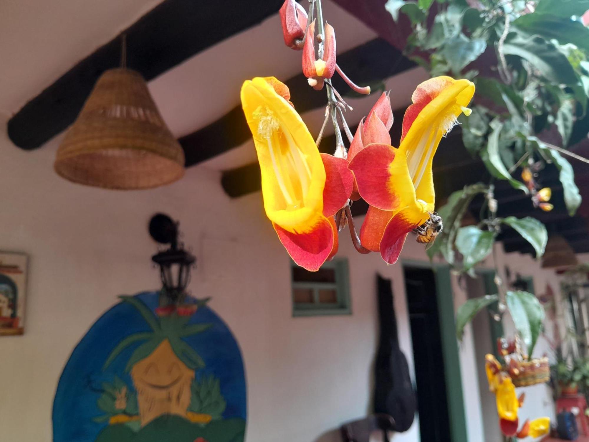 Beija Flor Hostel Villa de Leyva Luaran gambar